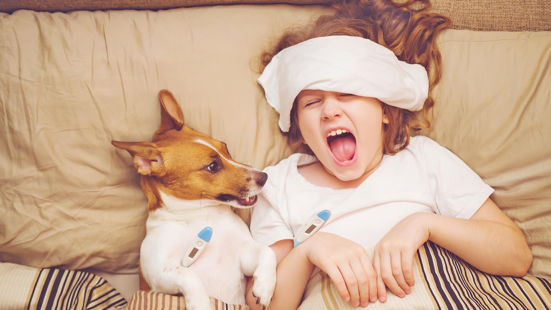 Ein Kind mit Kühlwickel auf der Stirn liegt unter einer Bettdecke und schreit mit weit aufgerissenem Mund. Danaben liegt ein kleiner Hund. Beide haben ein blauweißes Fieberthermometer unter den Arm bzw. Vorderlauf geklemmt.