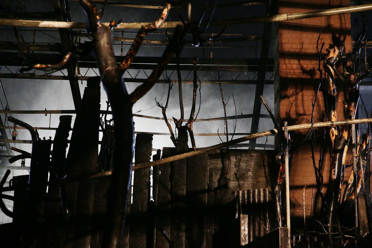 Verbrannte Bäume stehen im Affenhaus des Krefelder Zoos. Verbrannte Bäume stehen im Affenhaus des Krefelder Zoos.