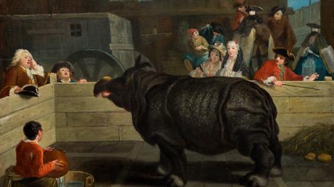 Ein altes Gemälde aus dem 17. Jahrhundert zeigt ein Nashorn, das ausgestellt und von einem Publikum bestaunt wird. 
