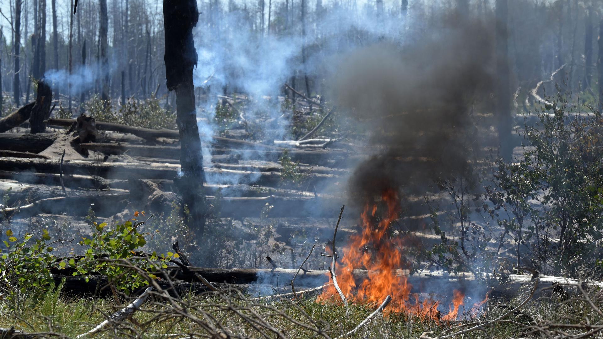 Waldbrand - Feuer bei Jüterbog größer geworden - Drohne wird eingesetzt