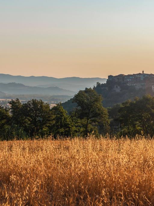 Trockenes Getreidefeld, dahinter Sasso dOmbrone, Provinz Grosseto, Toskana, Italien, Europa *** Dry cornfield, behind it Sasso D ombron, Province Grosseto, tuscany, Italy, Europe Copyright: imageBROKER/StephanxSchulz ibxsns08391265.jpg Bitte beachten Sie die gesetzlichen Bestimmungen des deutschen Urheberrechtes hinsichtlich der Namensnennung des Fotografen im direkten Umfeld der Veröffentlichung!