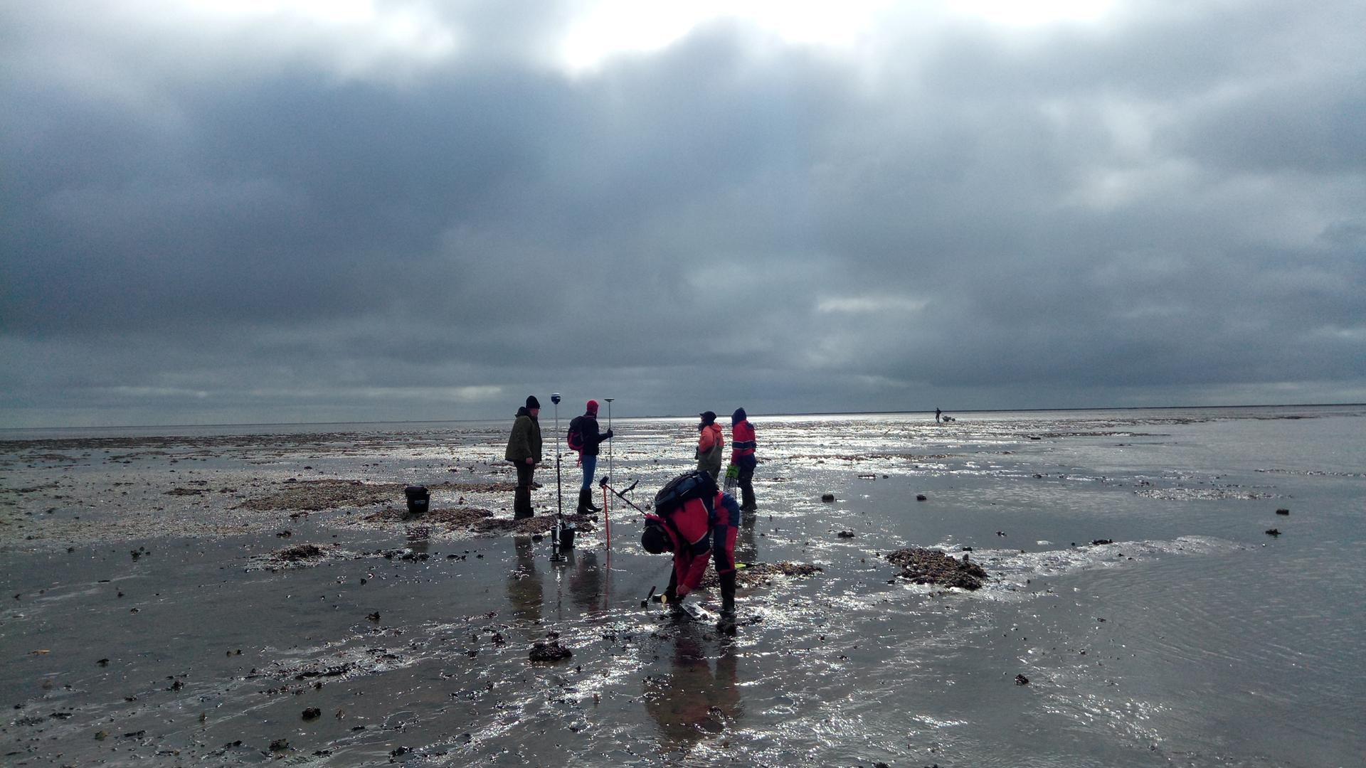 Ein Archäologenteam im Wattenmeer hat Stativstangen mit Magnet-Messköpfen aufgestellt Ein Archäologenteam im Wattenmeer hat Stativstangen mit Magnet-Messköpfen aufgestellt