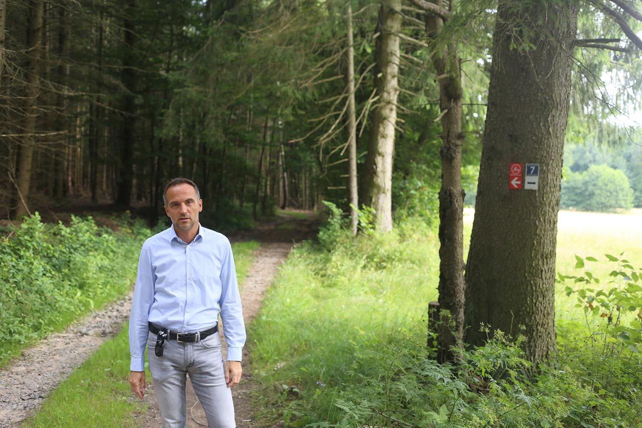Ein junger Mann steht am Waldweg und schaut in die Kamera. Ein junger Mann steht am Waldweg und schaut in die Kamera.