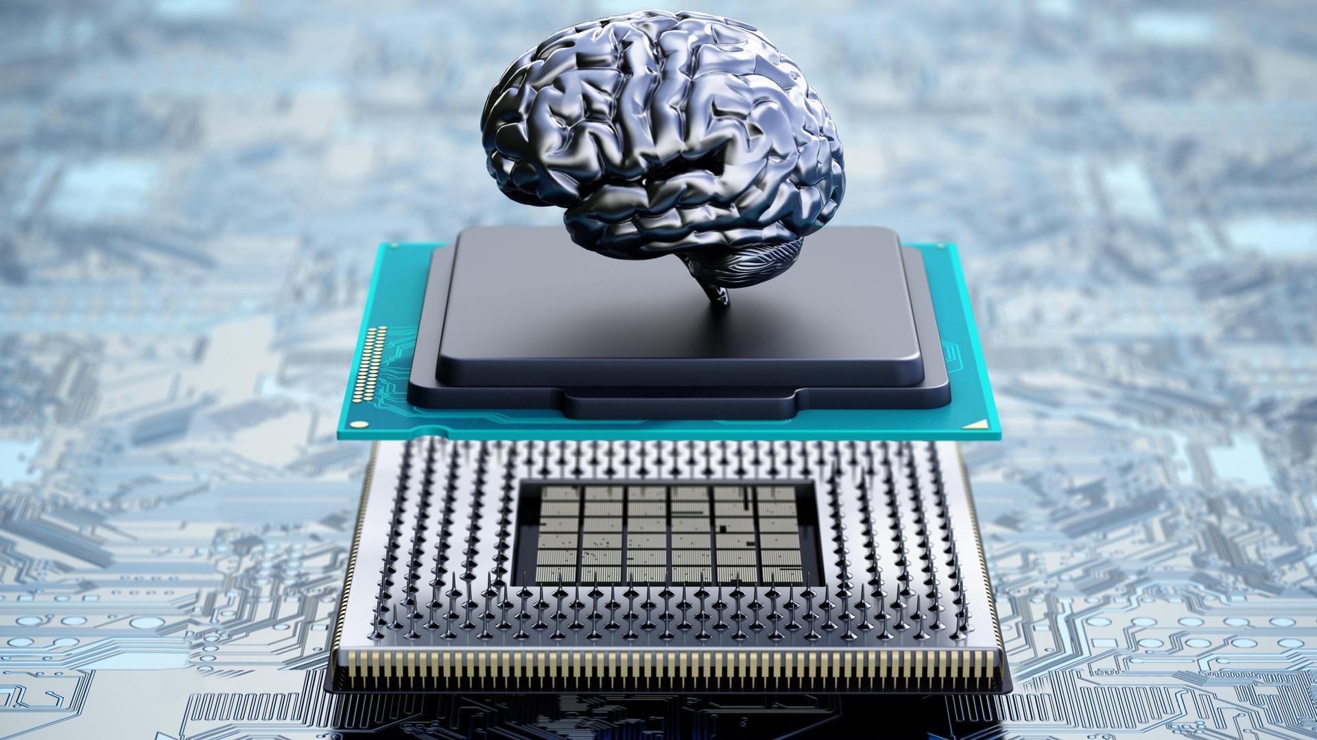 Auf einem Computerchip ist das winzige Modell eines menschlichen Gehirns befestigt.