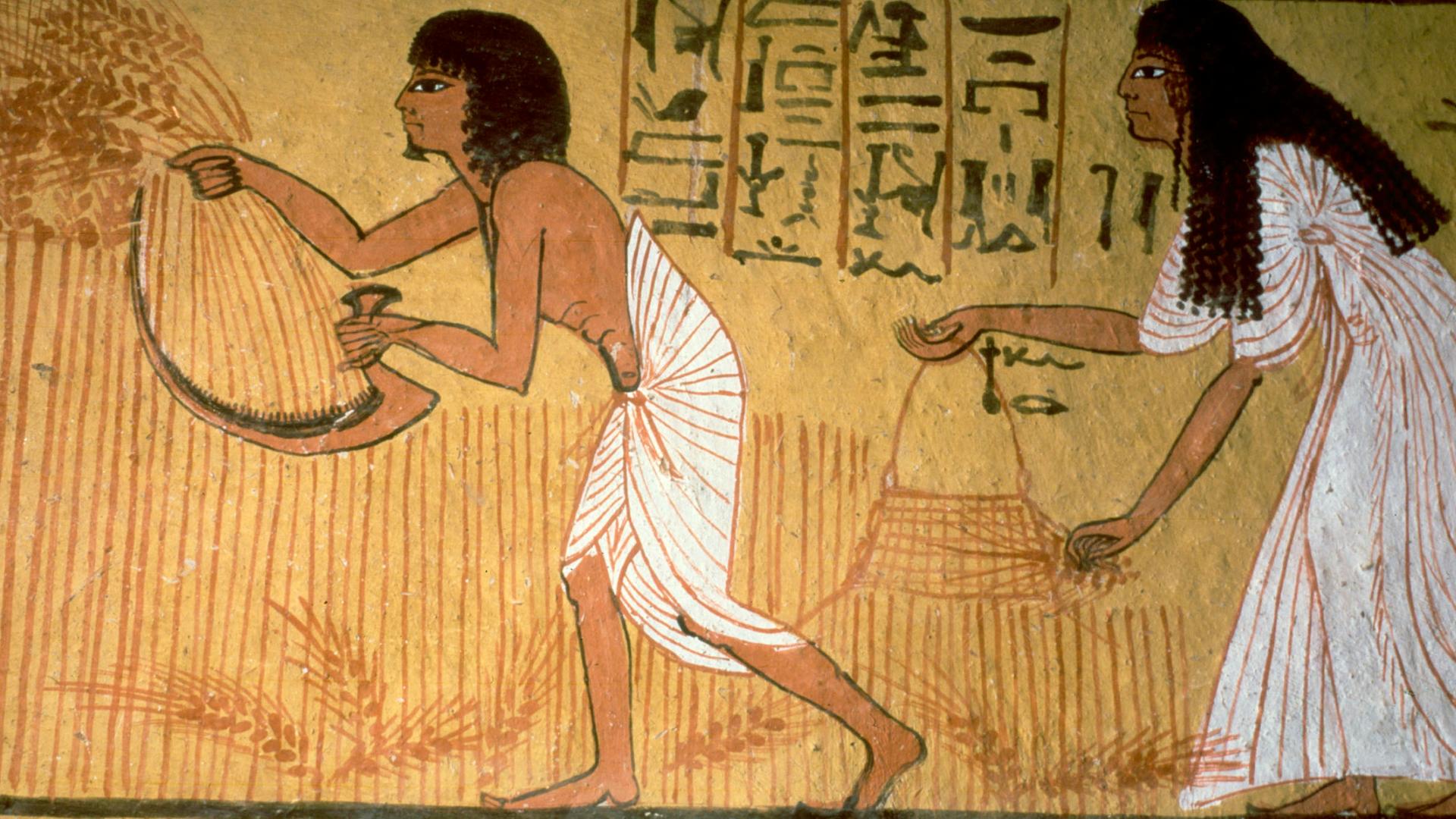 Getreideernte aus dem Grab des Sennedjem. Ägyptische Wandmalerei um 1290 v. u. Z.. Getreideernte aus dem Grab des Sennedjem. Ägyptische Wandmalerei um 1290 v. u. Z..