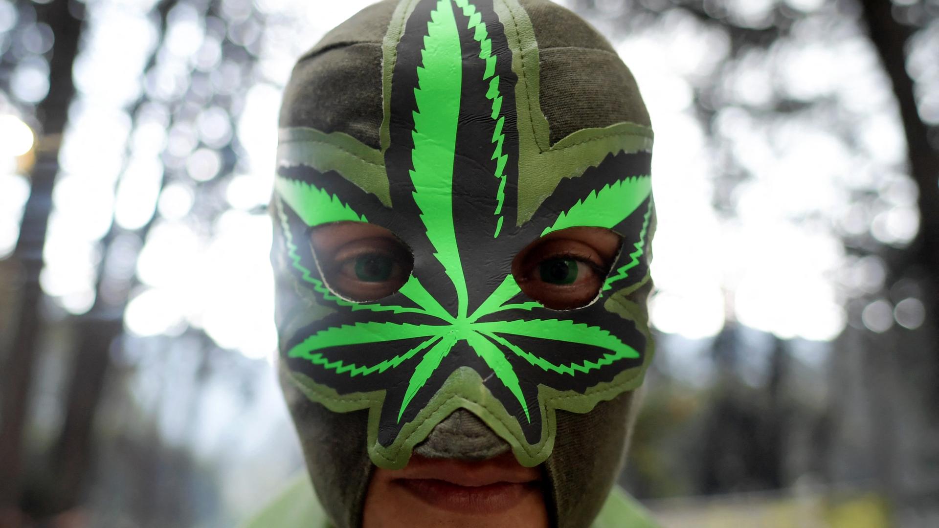 Ein Mann trägt eine Maske mit der Darstellung eines Cannabisblattes. Ein Mann trägt eine Maske mit der Darstellung eines Cannabisblattes.