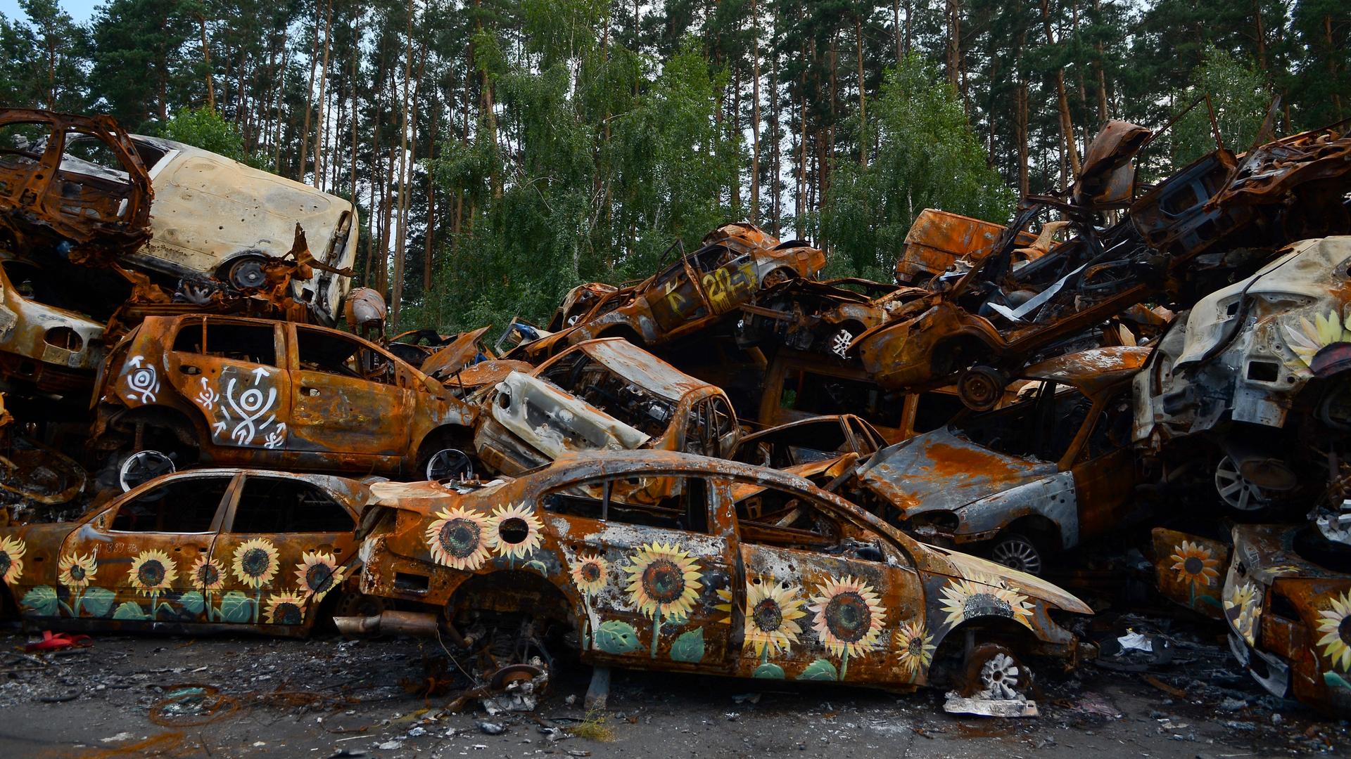 Sonnenblumen sind auf verschrottete rostende Autos in Kiew gemalt.