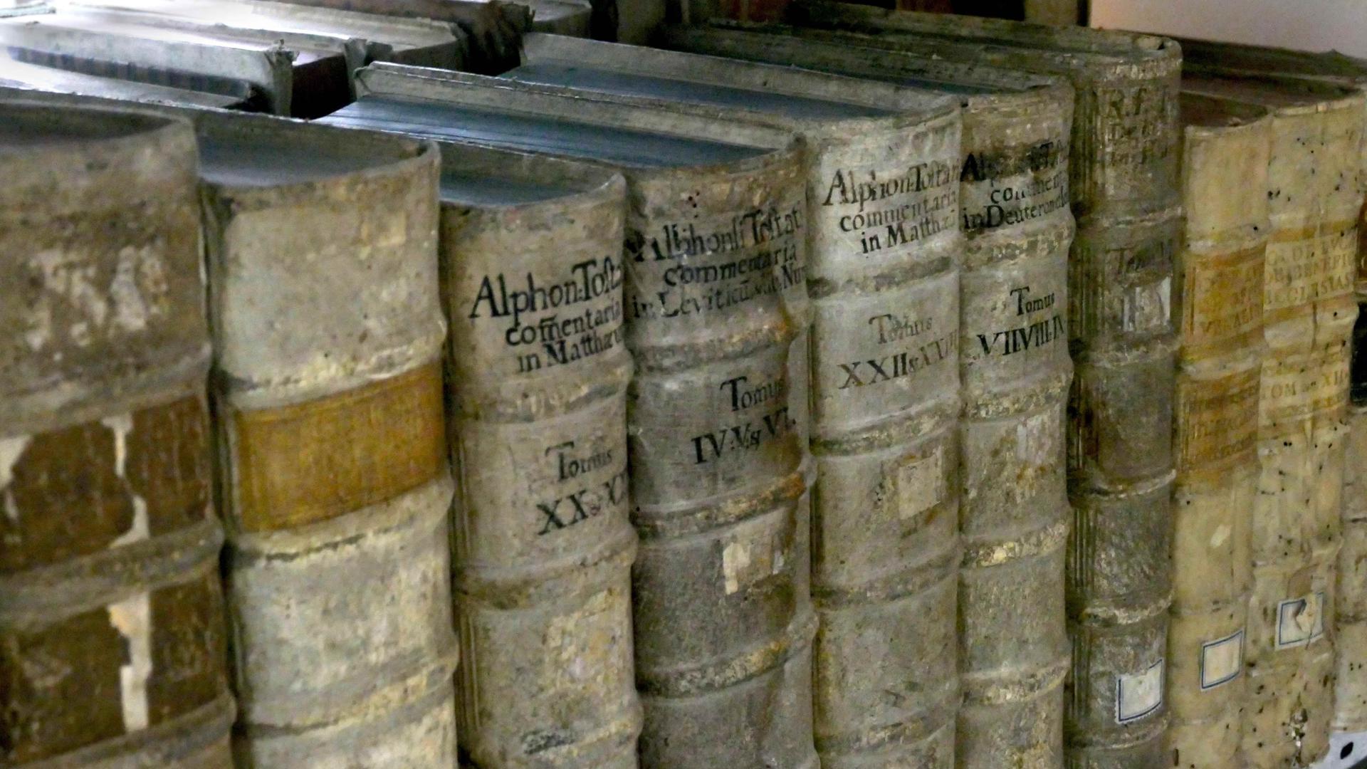 Alte Bücher in einem Regal. Alte Bücher in einem Regal.