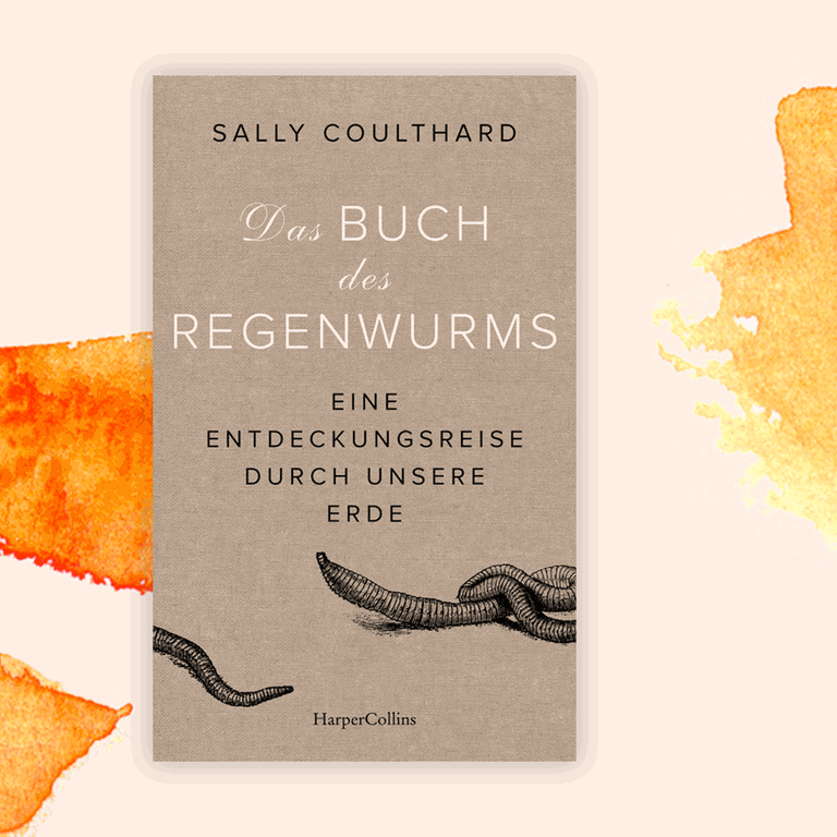Sally Coulthard: „Das Buch des Regenwurms“ – Wundersame Weichtiere