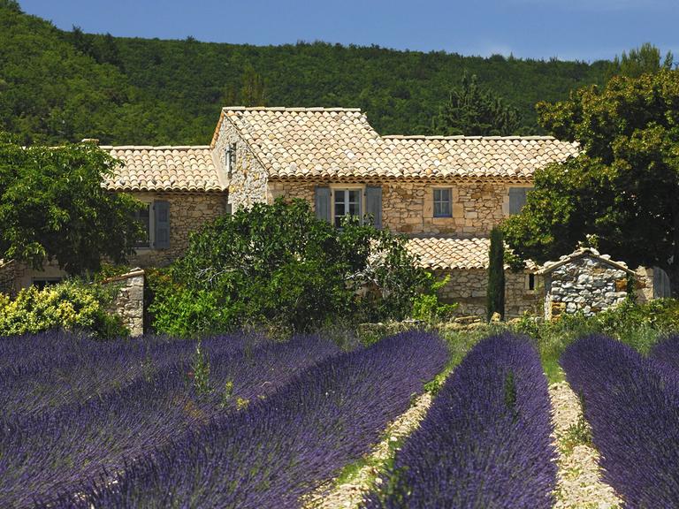 Nach 50 Jahren besucht Raymond Federman Südfrankreich - vielstimmig sind die Erinnerungen an seine Jugend. 
