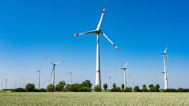 Agrarlandschaft mit grünem Weizenfeld, viele Windkraftanlagen in der Ferne. 
