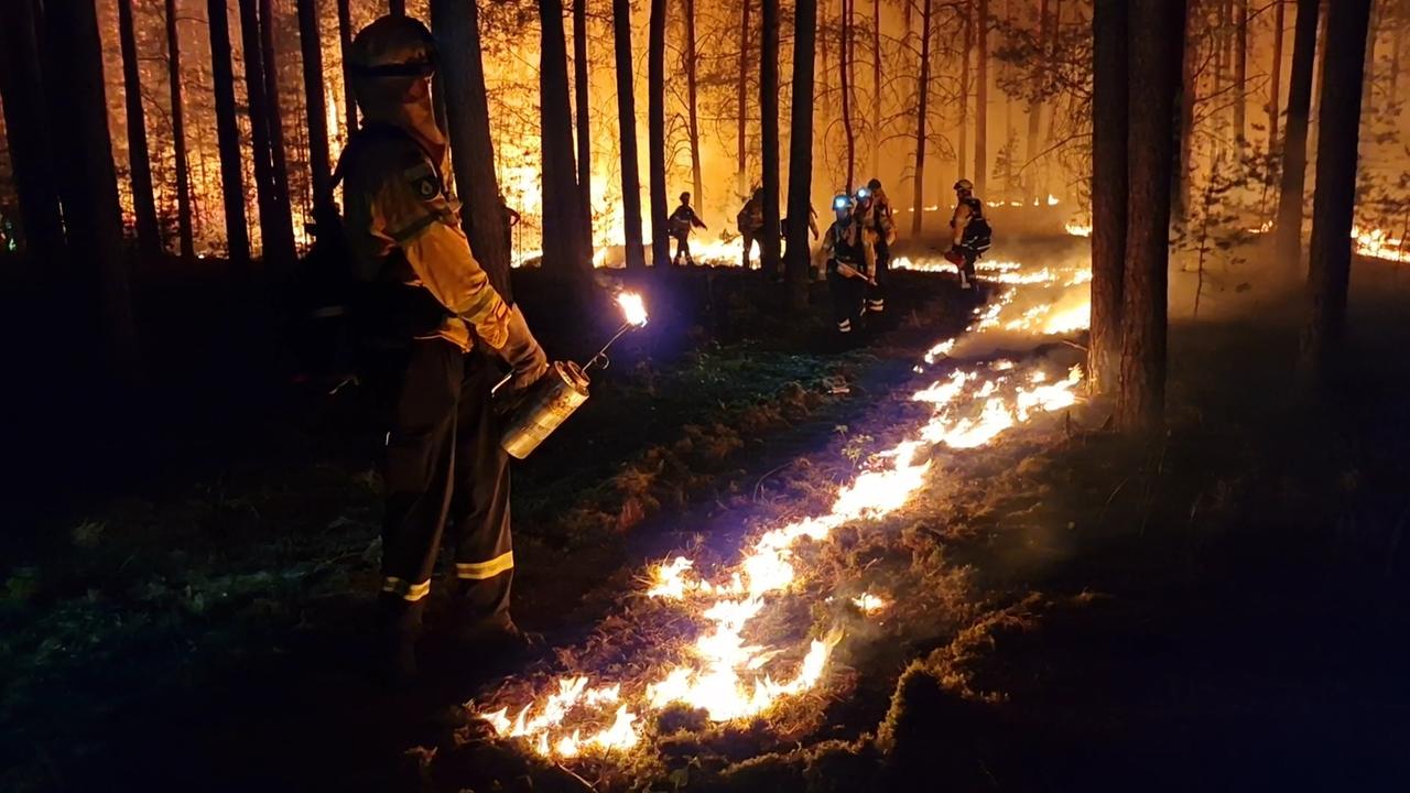 Rettungskräfte einer Hilfsorganisation legten Gegenfeuer, um eine weitere Ausbreitung des Waldbrandes zu verhindern und die Feuerwehr bei der Brandbekämpfung zu unterstützen.
