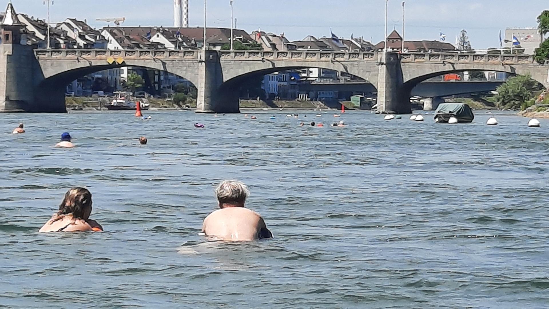 Flussschwimmer im Rhein in Basel Flussschwimmer im Rhein in Basel