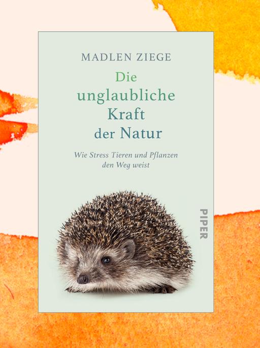 Das Cover des Buchs „Die unglaubliche Kraft der Natur“ von Madlen Ziege zeigt einen Igel.
