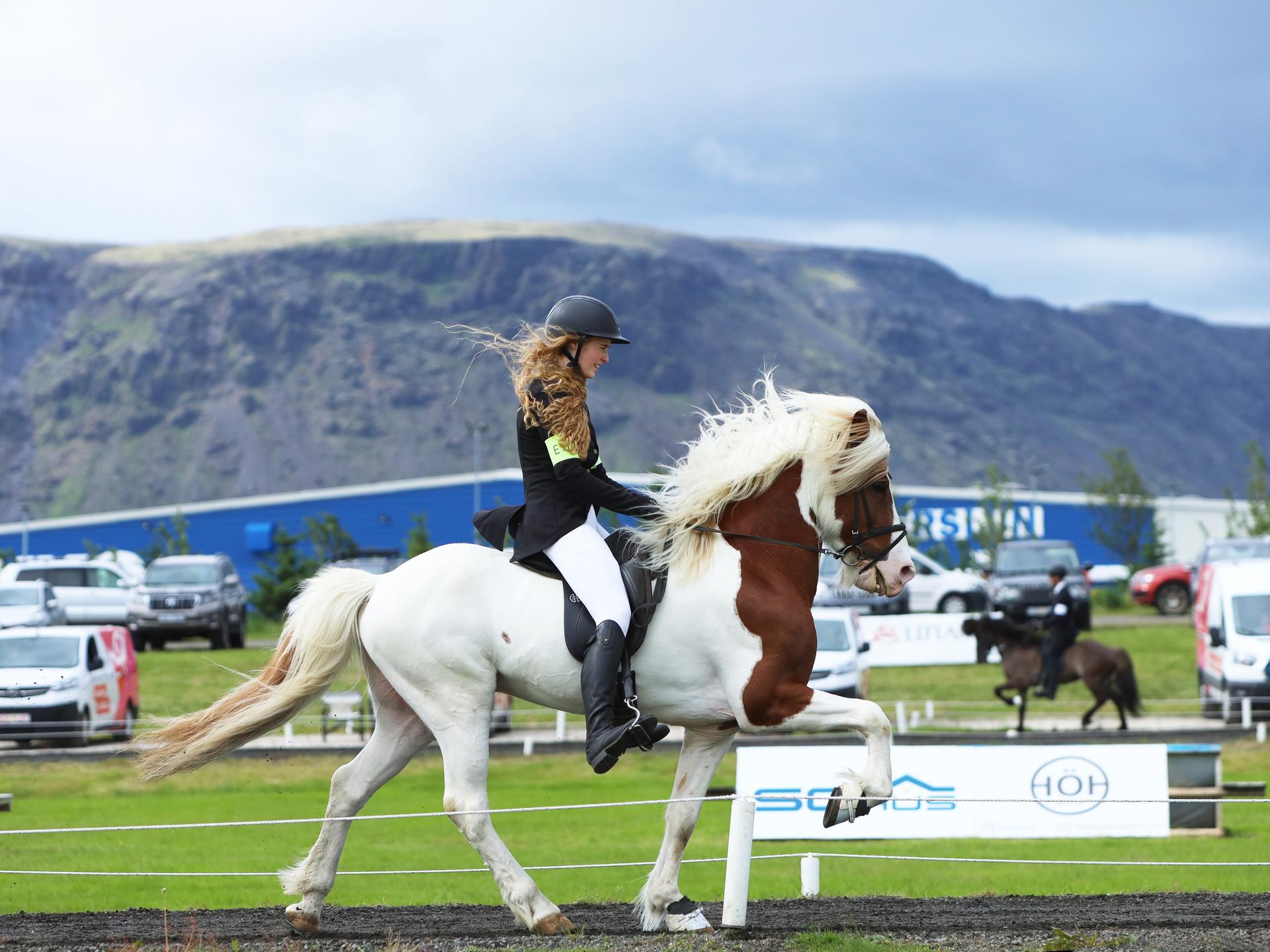 Eine Reiter und und ihr Pferd in Aktion bei den nationalen Titelkämpfen in Selfoss im Süden Islands. 