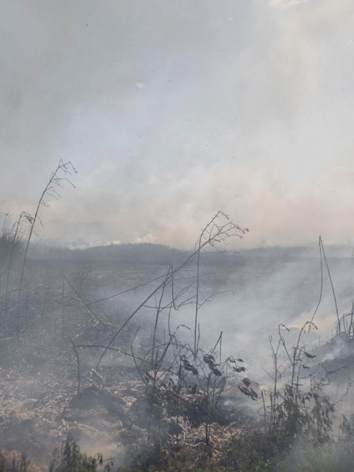 Rauchschwader über einem Feld in der Nähe von Bachmut in der Ukraine nach einem russischen Bombardement.