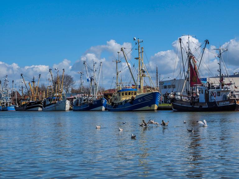 Krabbenfischer vor Anker im Hafen von Büsum.
