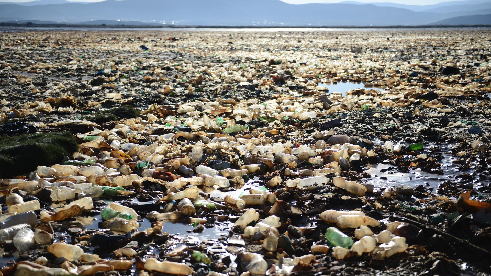 Plastikflaschen und anderer Plastikabfall schwimmt auf einem See.