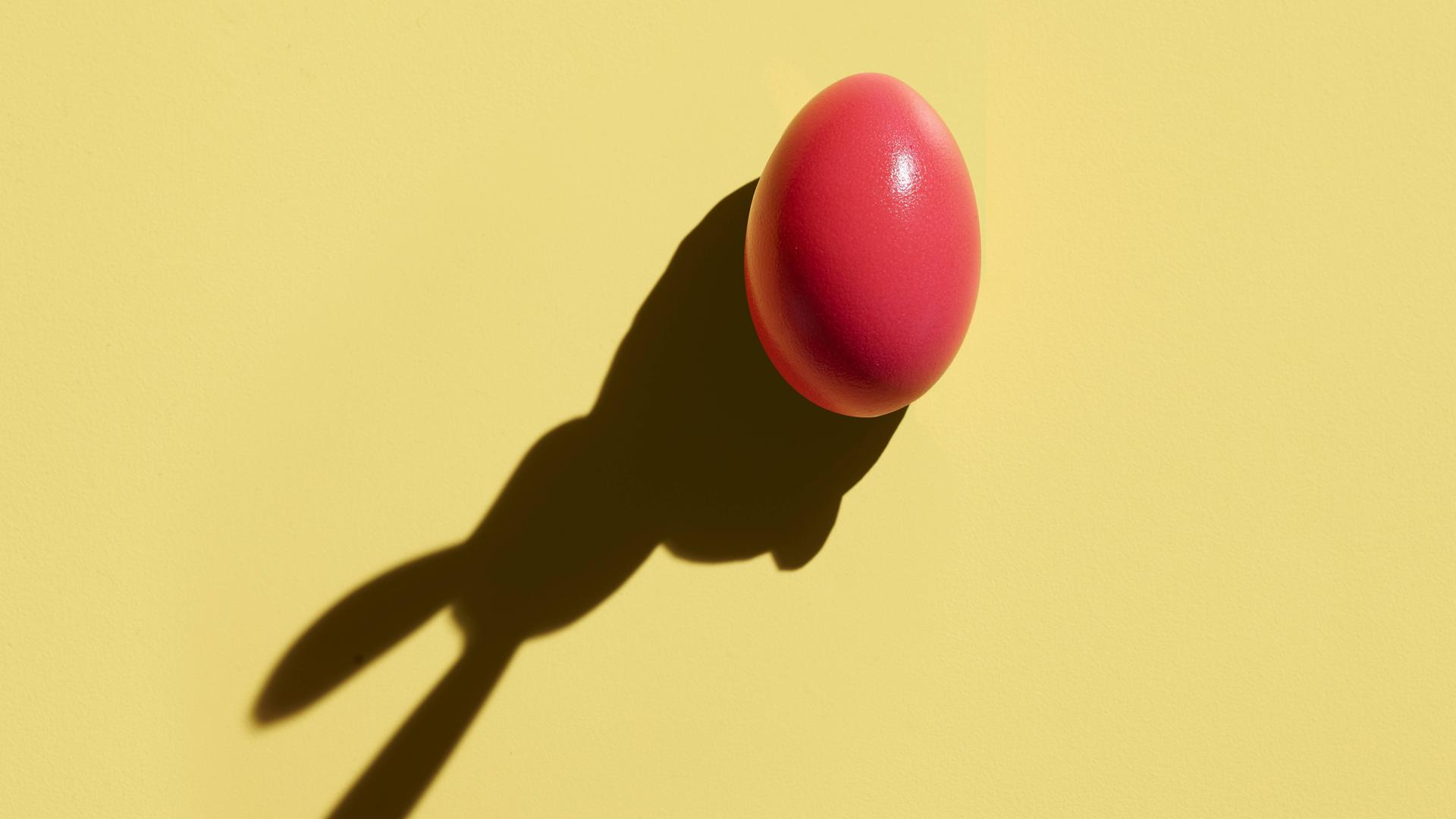 Ein pinkes Osterei, dessen Schatten die Form eines Hasen hat Ein pinkes Osterei, dessen Schatten die Form eines Hasen hat