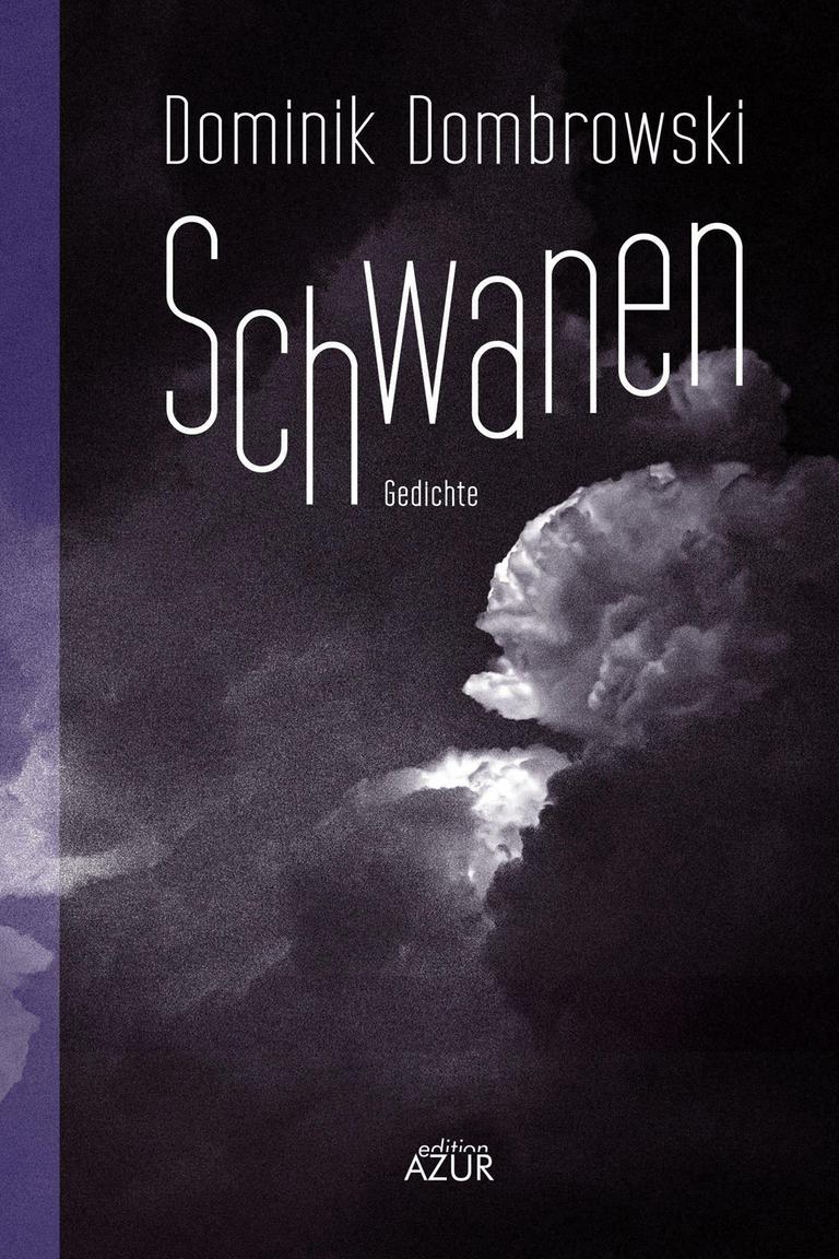 Buchcover zu Dominik Dombrowskis "Schwanen" Buchcover zu Dominik Dombrowskis "Schwanen"