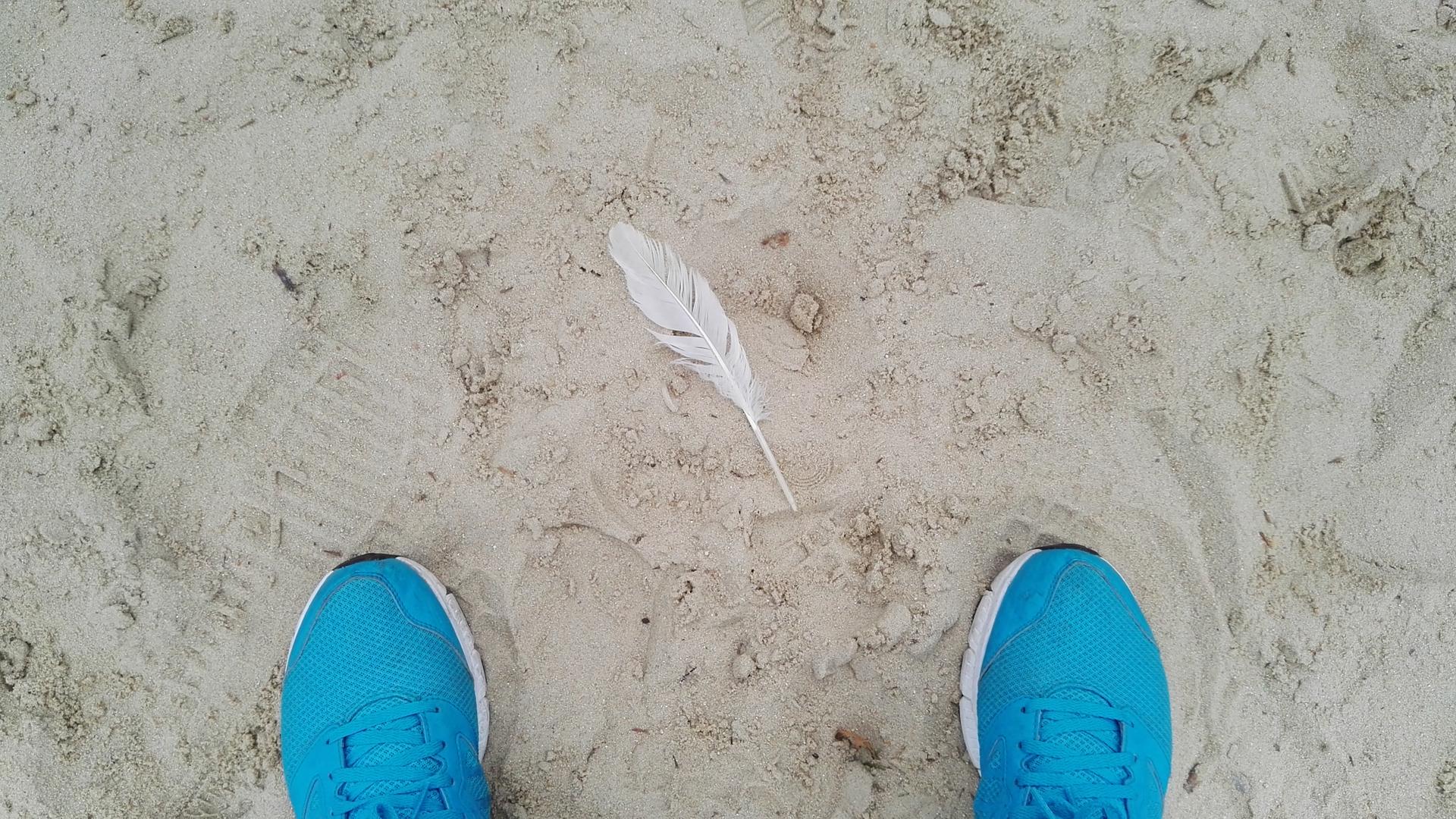 Vogelperspektive auf eine im Sand liegende Feder. Links und rechts im unteren Bildrand die Spitzen blauer Turnschuhe. Vogelperspektive auf eine im Sand liegende Feder. Links und rechts im unteren Bildrand die Spitzen blauer Turnschuhe.