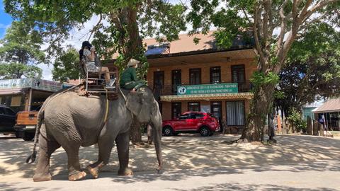 Elefantenreiten in Vietnam