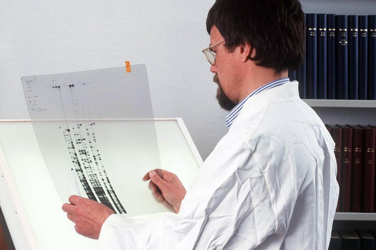 Ein Wissenschaftlicher Mitarbeiter hält eine Folie mit einer DNA-Sequenzanalyse in der Hand. Ein Wissenschaftlicher Mitarbeiter hält eine Folie mit einer DNA-Sequenzanalyse in der Hand.