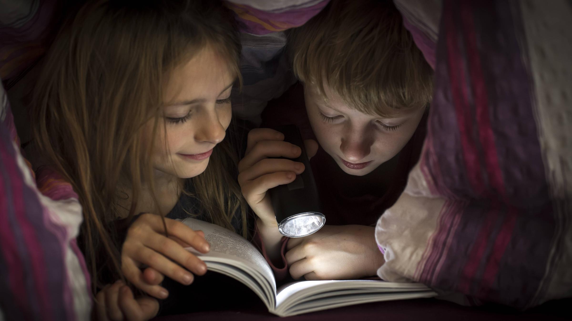 Brother and sister reading book under a blanket PUBLICATIONxINxGERxSUIx...</p>

                        <a href=