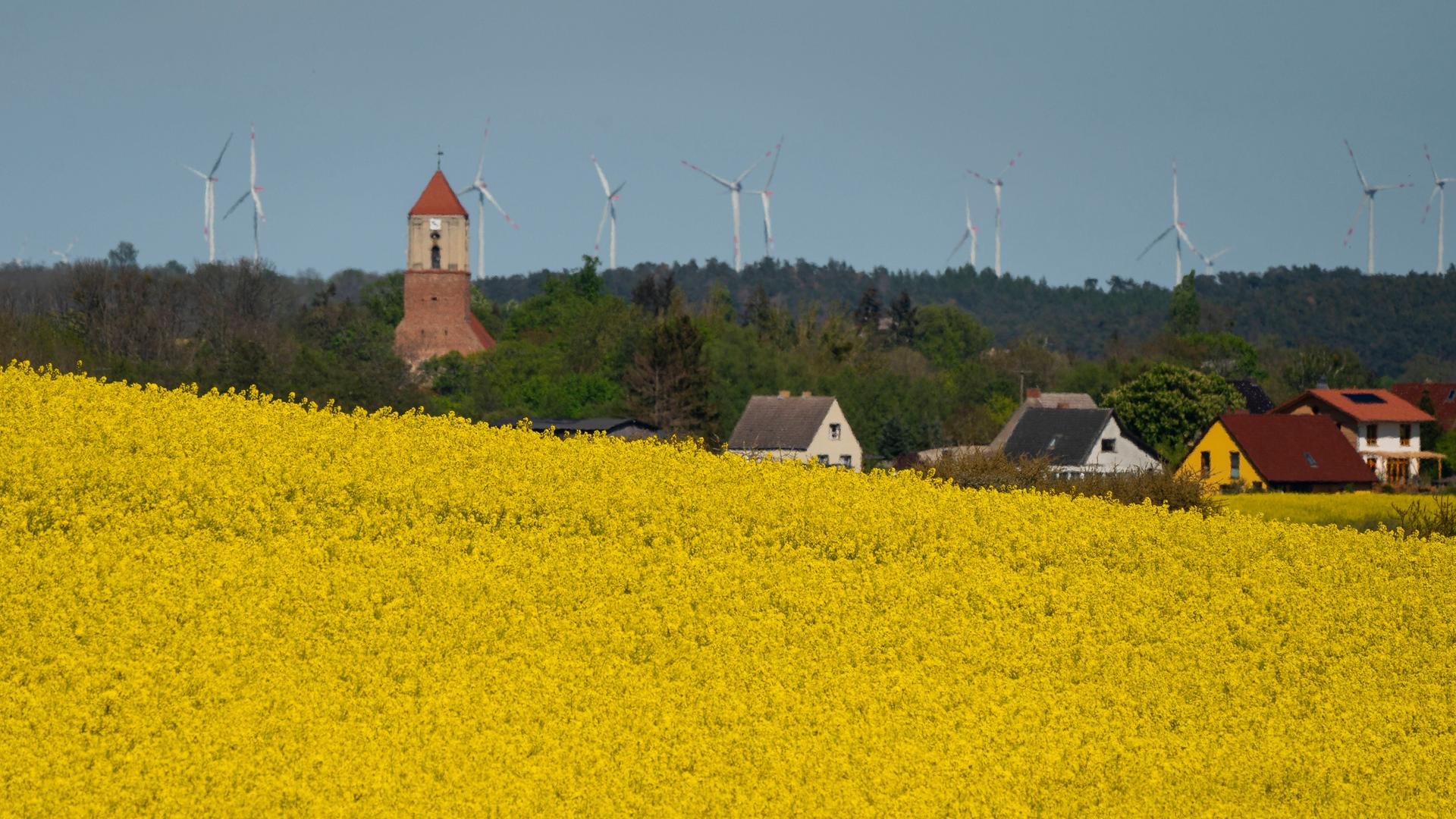 Im Vordergrund ist ein gelbes Rapsfeld zu sehen, im Hintergrund das Dorf mit einem Kirchturm. Im Vordergrund ist ein gelbes Rapsfeld zu sehen, im Hintergrund das Dorf mit einem Kirchturm.