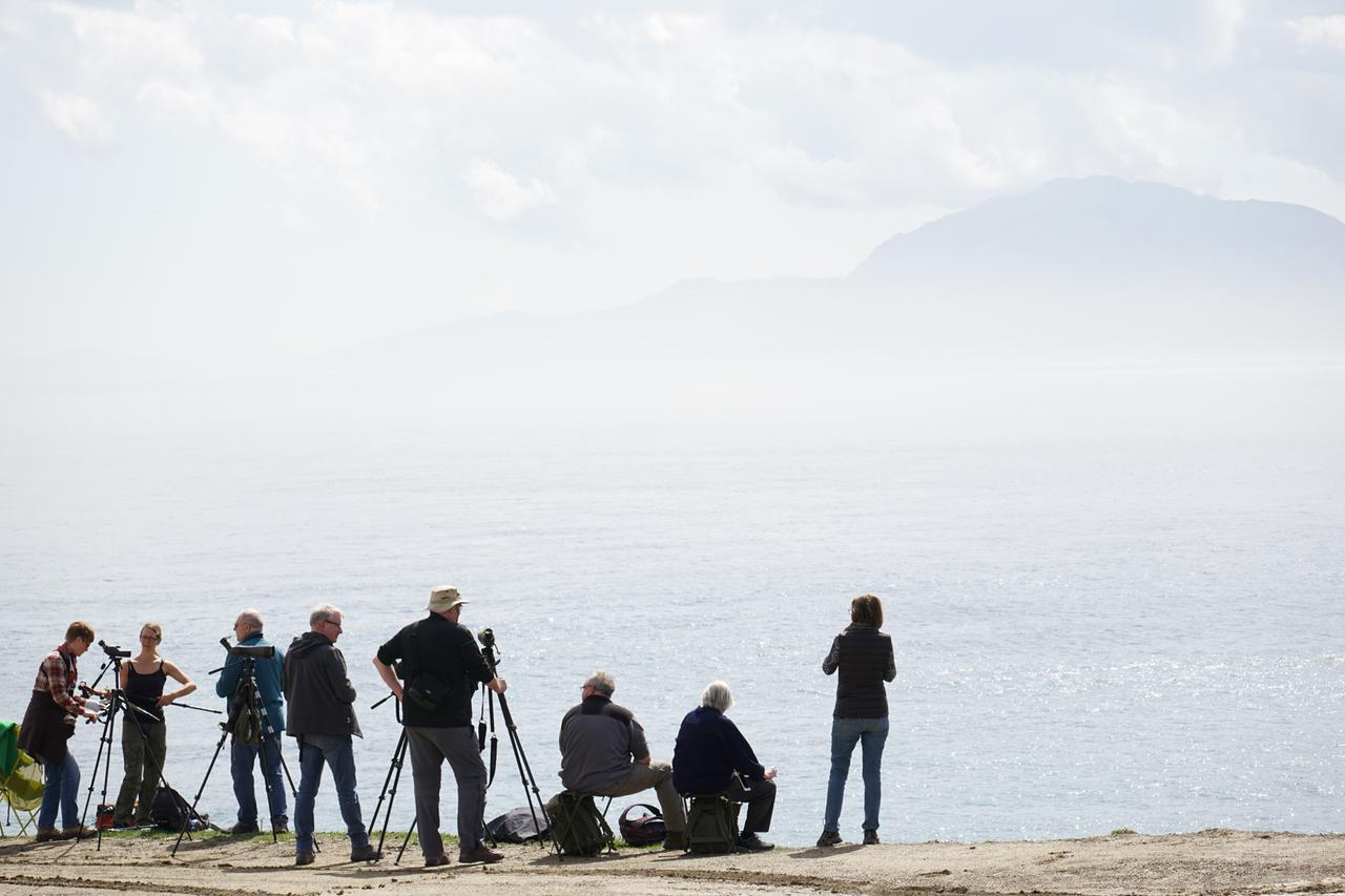 Eine Gruppe von etwa zehn Birdwatchern in Fleece und mit Spektiv steht erwartungnsvoll an der vernebelten Küste. Im Hintergrund ist ein Berg zu erkennen.