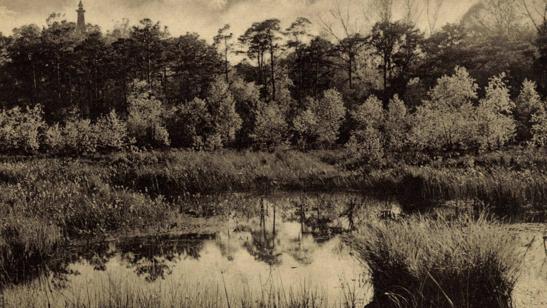 Eine alte schwarz-weiß bzw. Sepia-farbene Aufnahme vom Teufelsmoor in Berlin-Köpenick schätzungsweise aus dem Jahr 1935. Zu sehen sind Bäume, Gräser und eine Wasserfläche. Die Atmosphäre mutet düster an. Eine alte schwarz-weiß bzw. Sepia-farbene Aufnahme vom Teufelsmoor in Berlin-Köpenick schätzungsweise aus dem Jahr 1935. Zu sehen sind Bäume, Gräser und eine Wasserfläche. Die Atmosphäre mutet düster an.