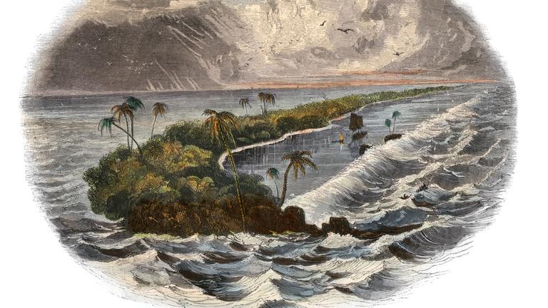 Illustration einer tropischen Insel aus dem Jahr 1800. Illustration einer tropischen Insel aus dem Jahr 1800.
