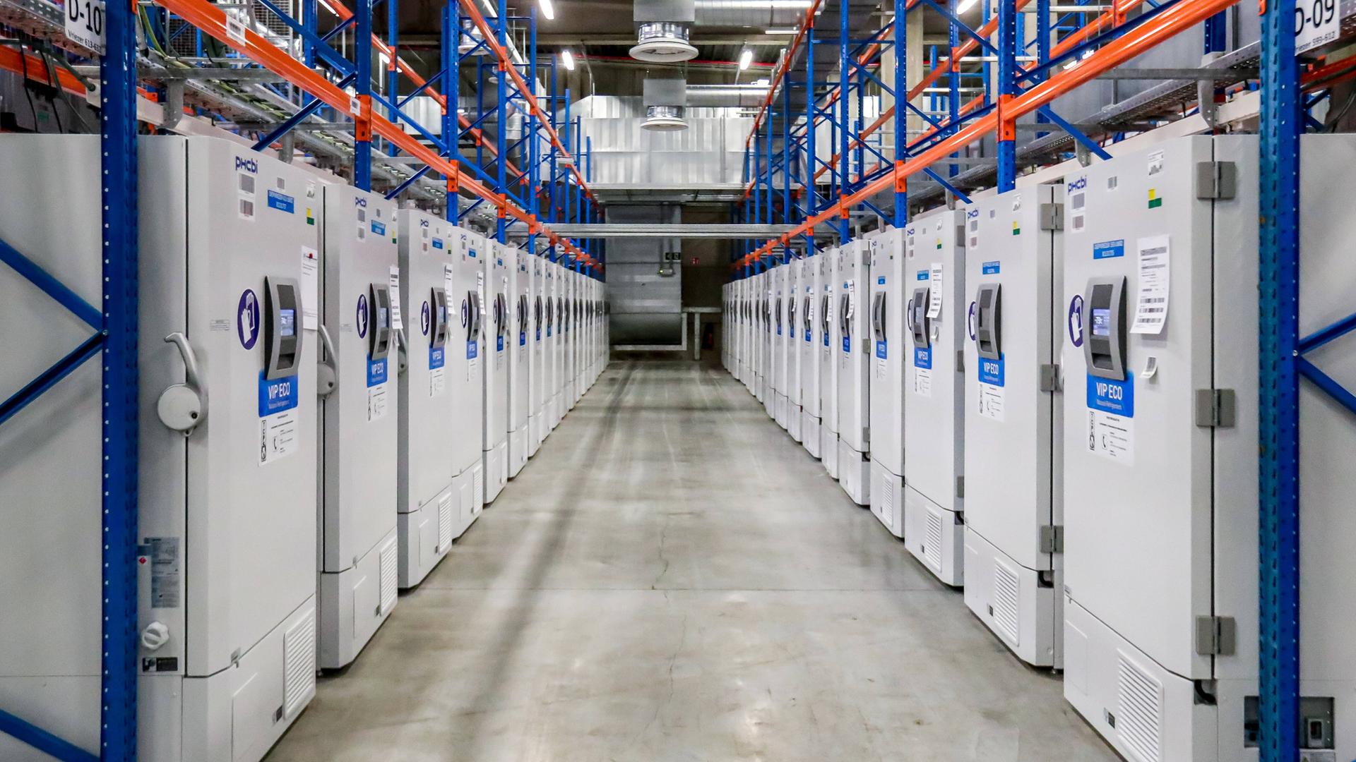 Blick in eine Pfizer-BioNTech-mRNA-Produktionsstätte in Puurs, Belgien. In einem langen Gang stehen links und rechts Reihen von Maschinen. Blick in eine Pfizer-BioNTech-mRNA-Produktionsstätte in Puurs, Belgien. In einem langen Gang stehen links und rechts Reihen von Maschinen.