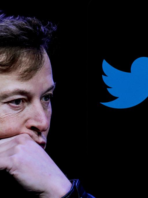 Der US-Unternehmer Elon Musk neben dem Twitterlogo. Er hat das Gesicht in die Hand gestützt.