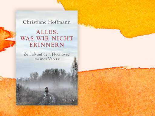 Das Buchcover zeigt Autorinnenname und Buchtitel auf einem Foto einer Frau, die durch eine Heidelandschaft im Nebel wandert. Man sieht die Frau von hinten, sie trägt einen Rucksack. Hinter dem Buch sind orangene Farbverläufe.