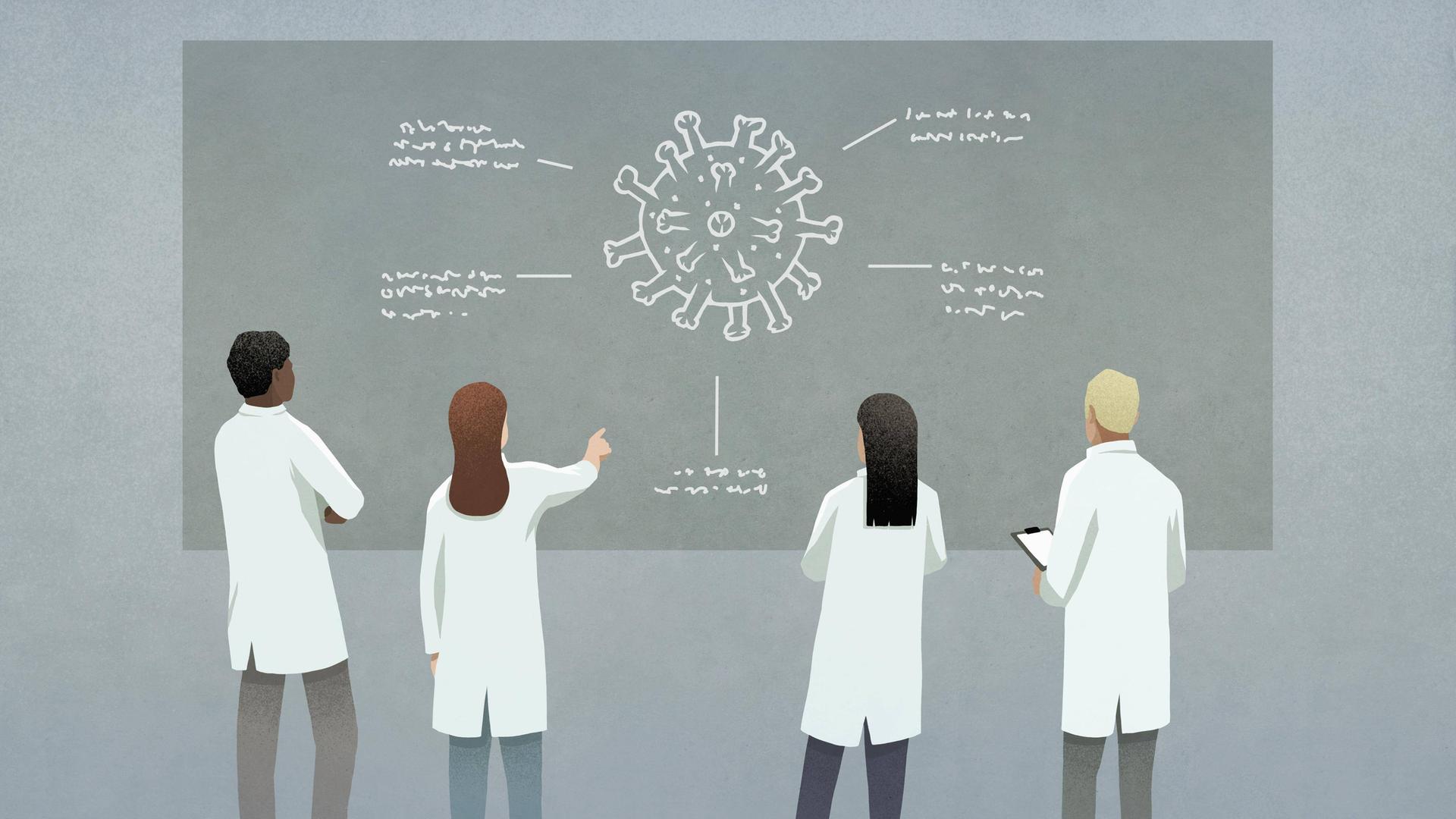 Wissenschaftler diskutieren vor einer Tafel über Corona. Wissenschaftler diskutieren vor einer Tafel über Corona.