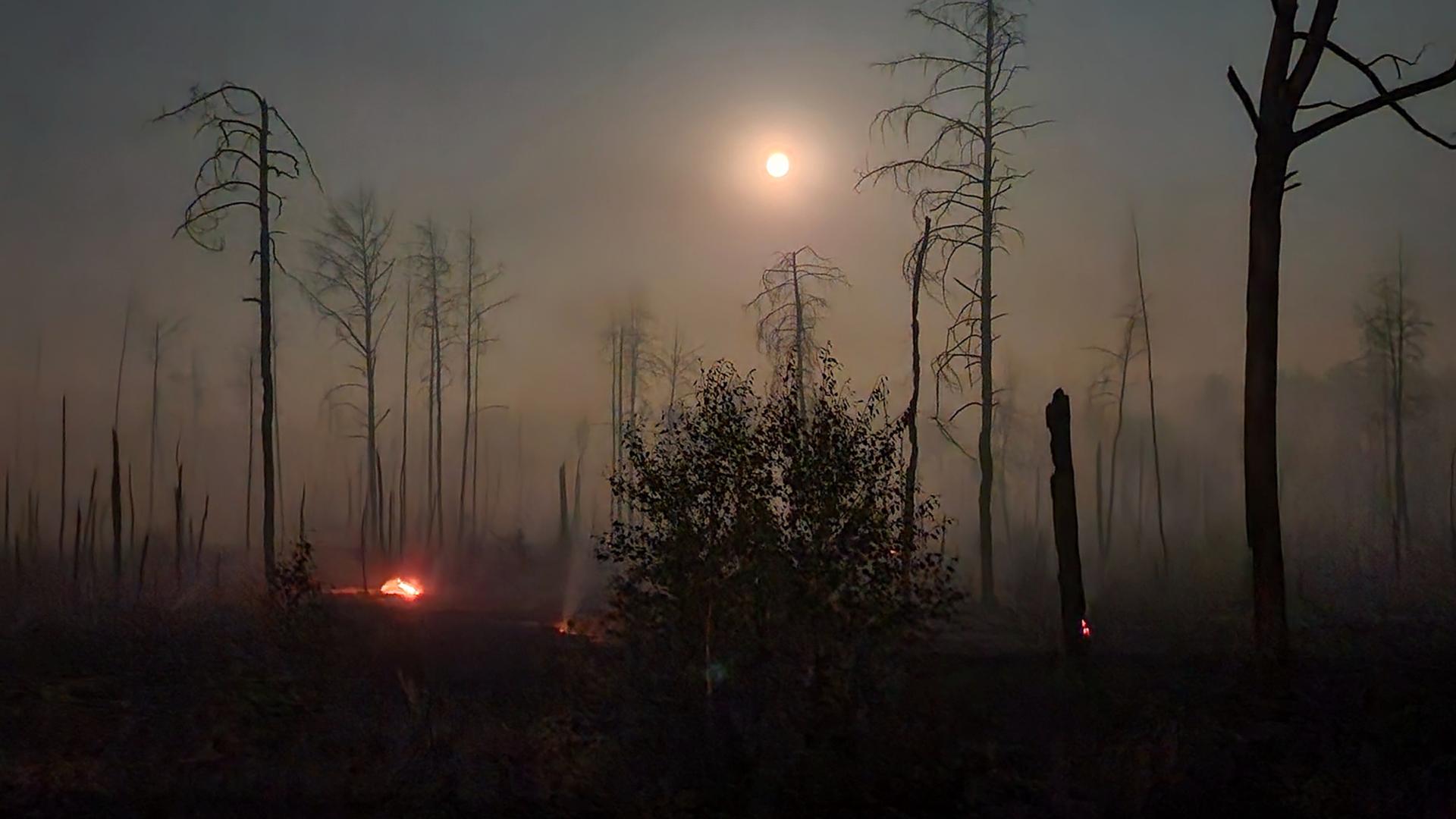Brandenburg - Waldbrand wird größer - 150 Hektar betroffen
