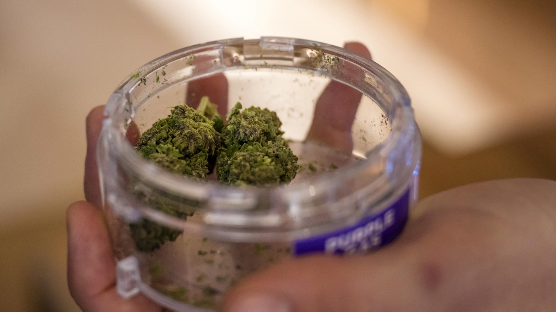 Im Rahmen der Cannabisstudie Weed Care wird Cannabis verkauft in einer Apotheke in Basel. Im Rahmen der Cannabisstudie Weed Care wird Cannabis verkauft in einer Apotheke in Basel.