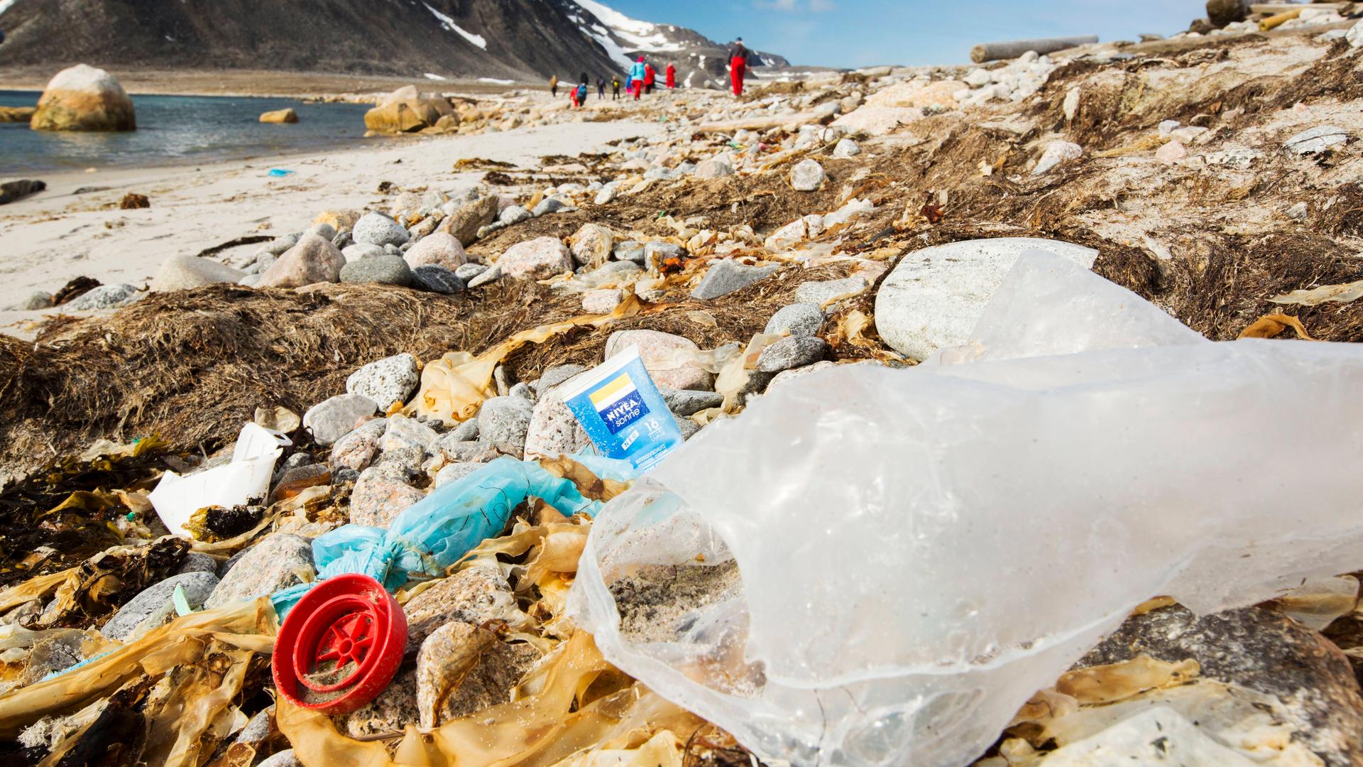 Plastik-Müll in der Arktis Plastik-Müll in der Arktis