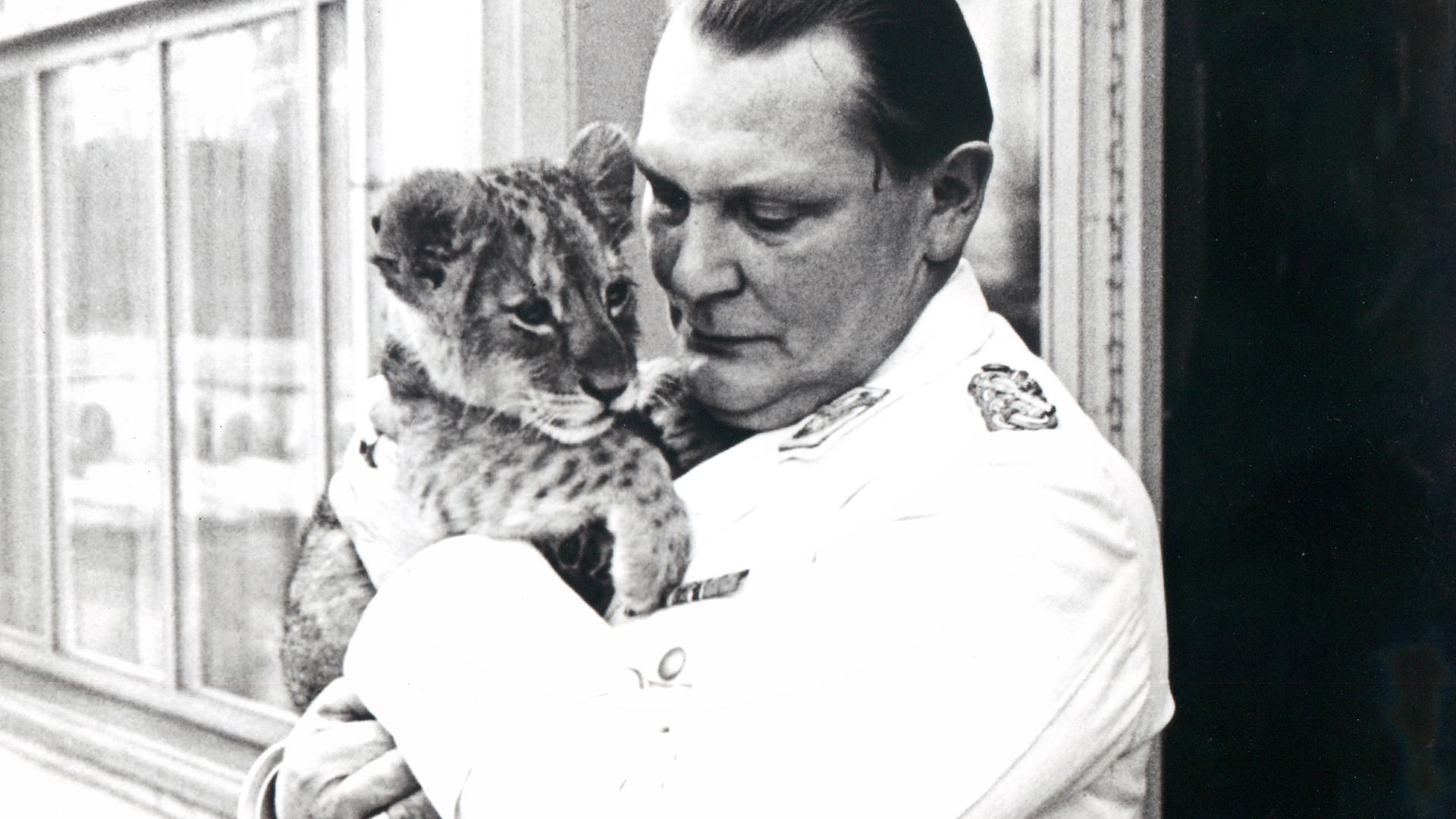 Historische Aufnahme von Hermann Göring mit jungem Löwen im Arm. Historische Aufnahme von Hermann Göring mit jungem Löwen im Arm.