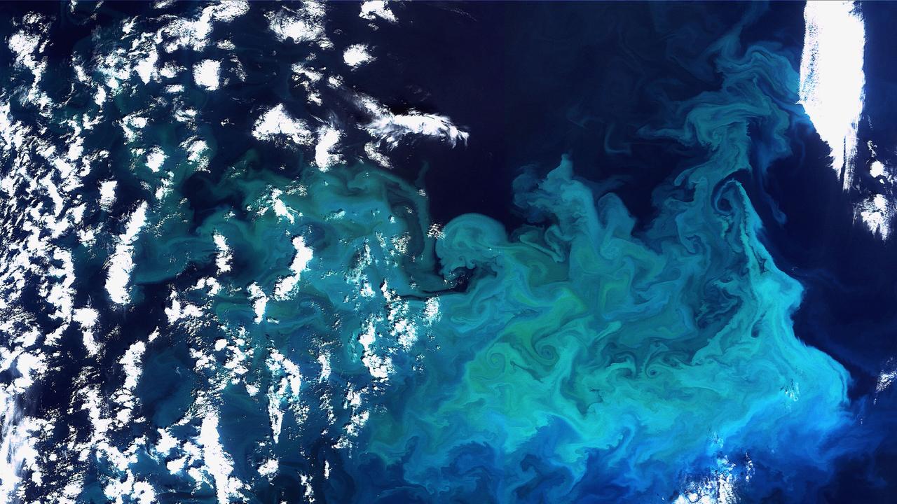 Meer-Blick aus dem All: „Algenblüte“ (große Mengen an Phytoplankton) in der Barentssee, nördlich von Norwegen und Russland.