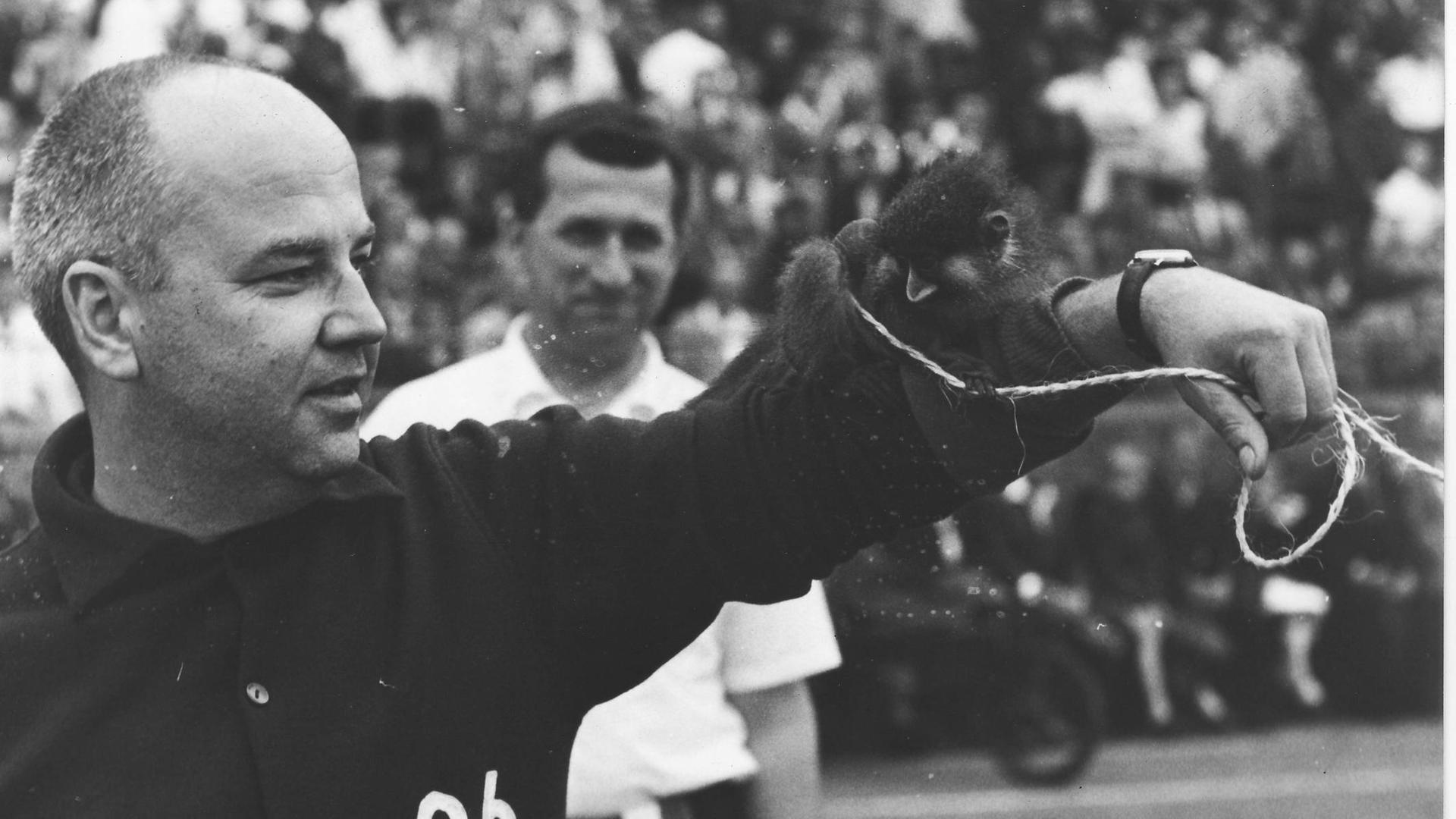 Kapuzineraffe Popo sitzt auf dem Arm eines Mitarbeiters von Hannover 96. Kapuzineraffe Popo sitzt auf dem Arm eines Mitarbeiters von Hannover 96.