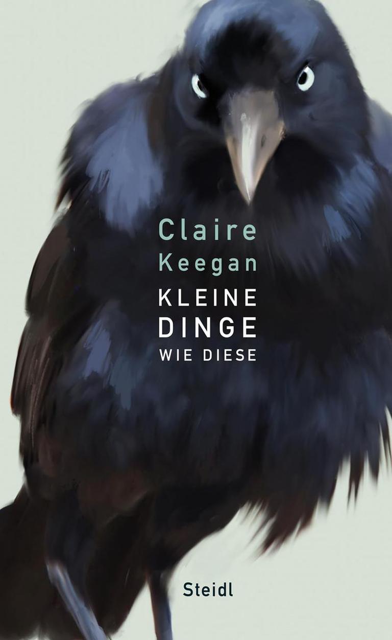 Buchcover: "Kleine Dinge wie diese" von Claire Keegan