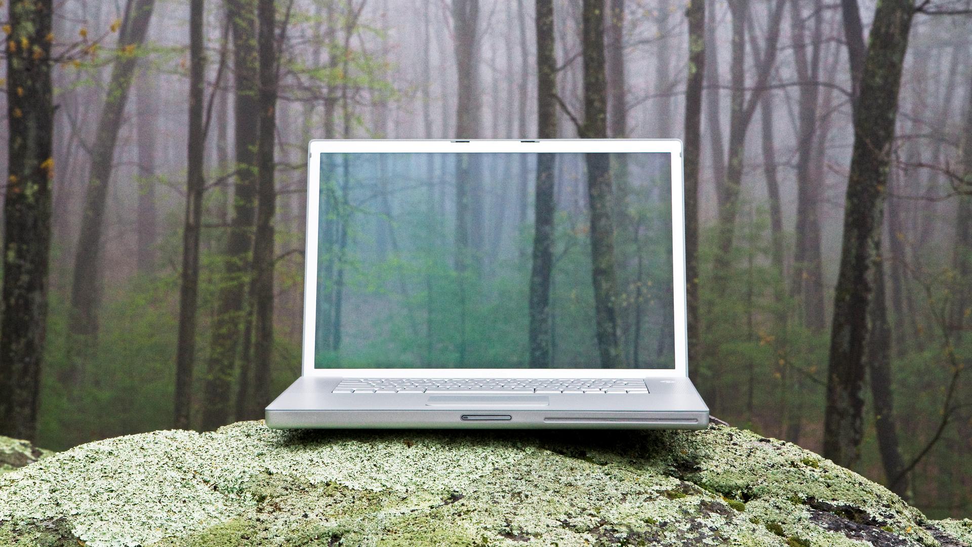 Ein Laptop steht auf einem Stein im Wald. Auf dem Monitor des Laptops ist ein Ausschnitt des Waldes zu sehen