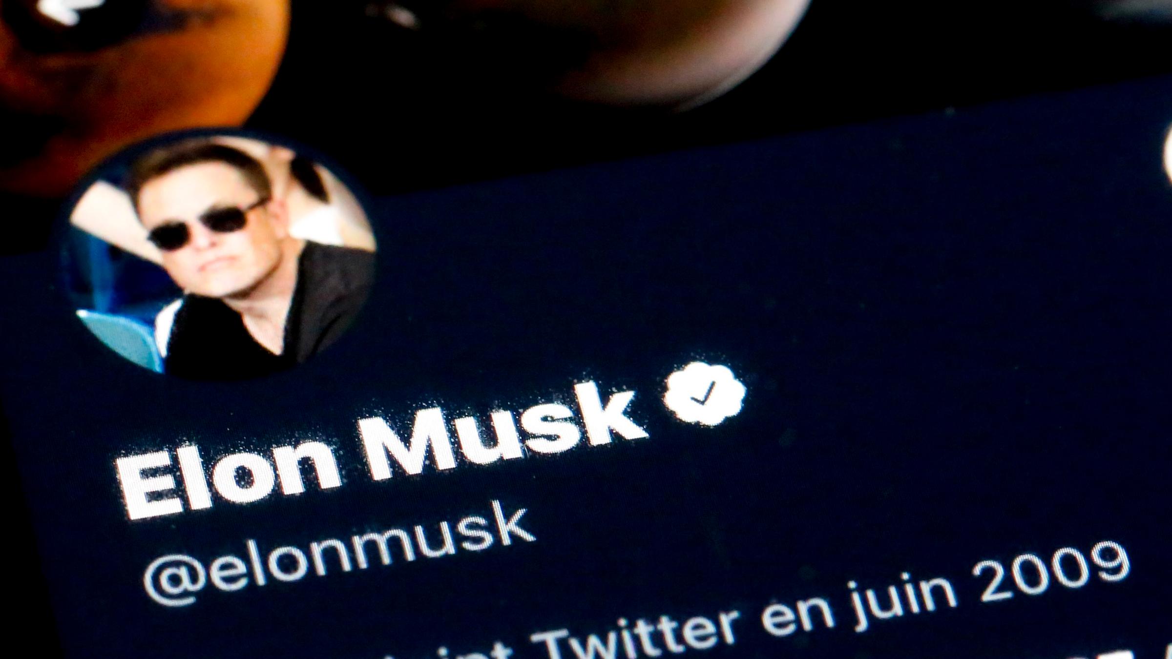 Ein Ausschnitt von Elon Musks Twitterprofil