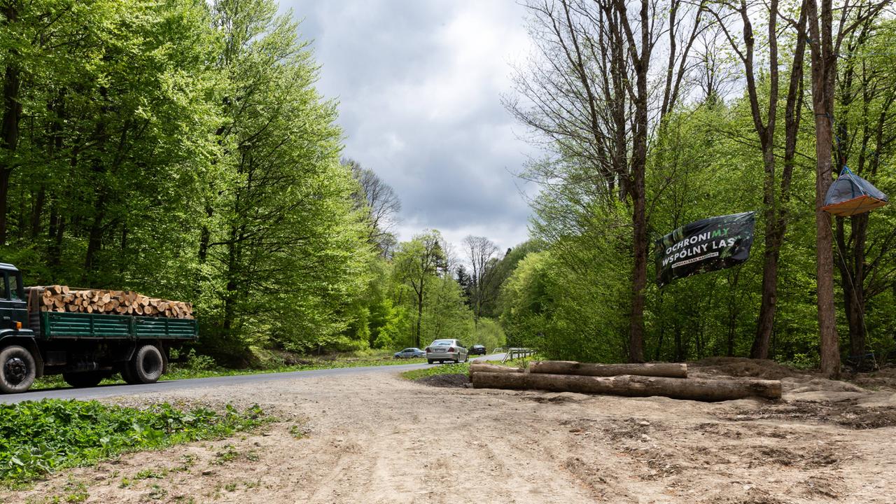Aktivisten haben an einer Zufahrtsstraße zu einem Waldgebiet ein Protestplakat und ein in einem Baum hängendes Biwakzelt aufgehängt; (14.5.2021 in der Nähe von Arlamow, Karpaten, Südost-Polen) Aktivisten haben an einer Zufahrtsstraße zu einem Waldgebiet ein Protestplakat und ein in einem Baum hängendes Biwakzelt aufgehängt; (14.5.2021 in der Nähe von Arlamow, Karpaten, Südost-Polen)