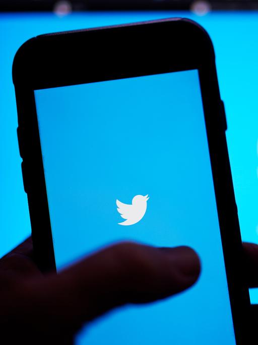 Ein Hand hält ein Smartphone auf dessen Bildschirm das Twitter-Symbol zu sehen ist, das auch im Hintergrund erscheint
