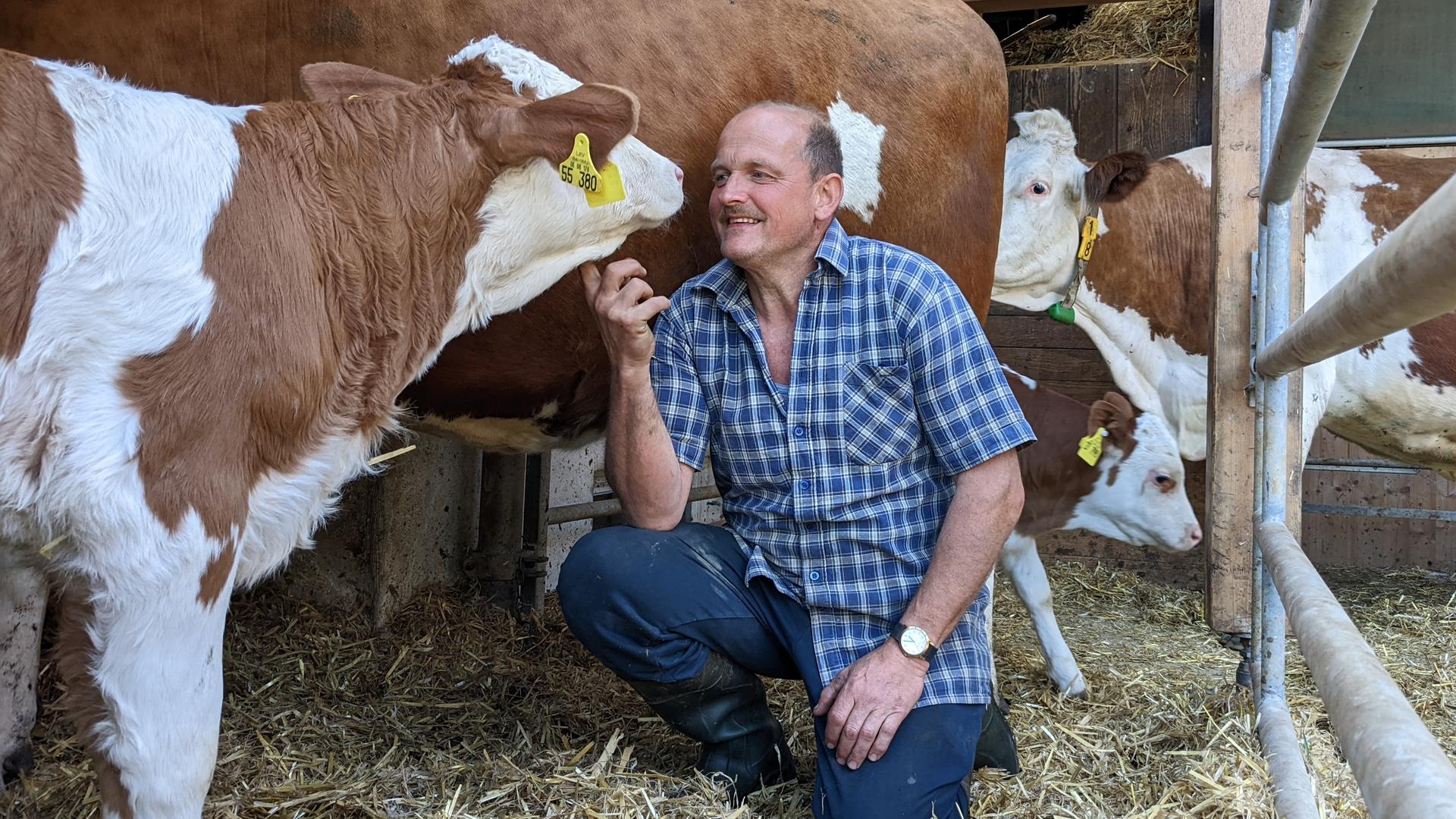 Biobauer Stefan Lehmann kniet im Stall vor einem Kalb. Biobauer Stefan Lehmann kniet im Stall vor einem Kalb.