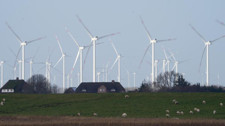 Warum der Ausbau der Windenergie in Schleswig-Holstein stockt