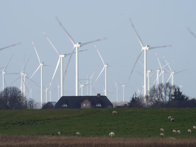 Windenergieanlagen sind hinter Häusern und einem Deich, auf dem Schafe grasen, zu sehen. Windenergieanlagen sind hinter Häusern und einem Deich, auf dem Schafe grasen, zu sehen.